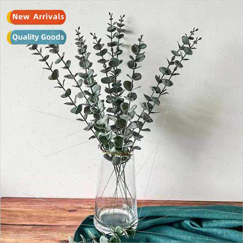Eucalyptus simulation plant Eucalyptus money leaves home dec