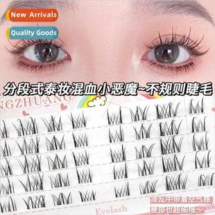 segmented single cluster Thai ultra imp irregular fin makeup