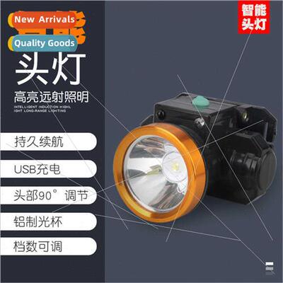 Ear picking head-mounted induction rechargeable headlamp dig