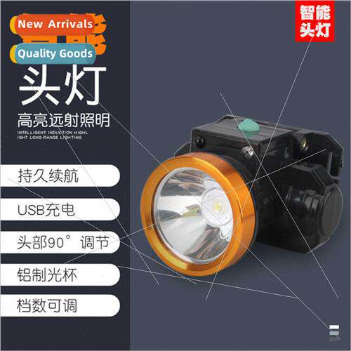 Ear picking head-mounted induction rechargeable headlamp dig