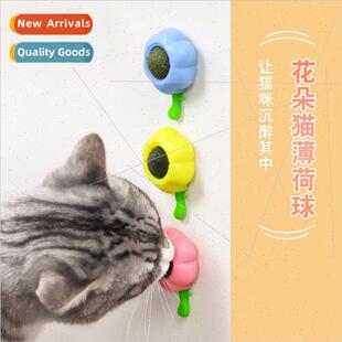 Catnip ball cat toys self hi teasing cat relieve boredom tea
