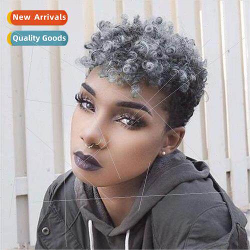 Wigs Europe wigs short curly hair African explosion head wig