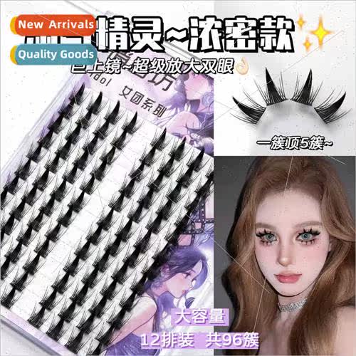 Naughty Wizard Thick 12 rows large volume natural false eyel