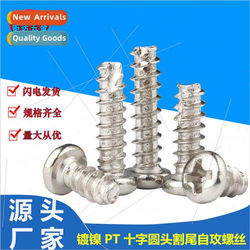PT nickel plated Phillips pan head cut end tapping screws Ro