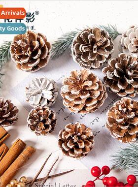 Natural dried pine cones Christmas e diy decorative material