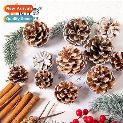 Natural dried pine cones Christmas e diy decorative material