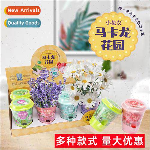 Macaroon Garden DIY Hydroponic Pots Creative Planting Flower