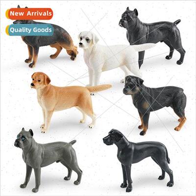 Pet dog animal model shepherd Rottweiler Great Dane Castor d