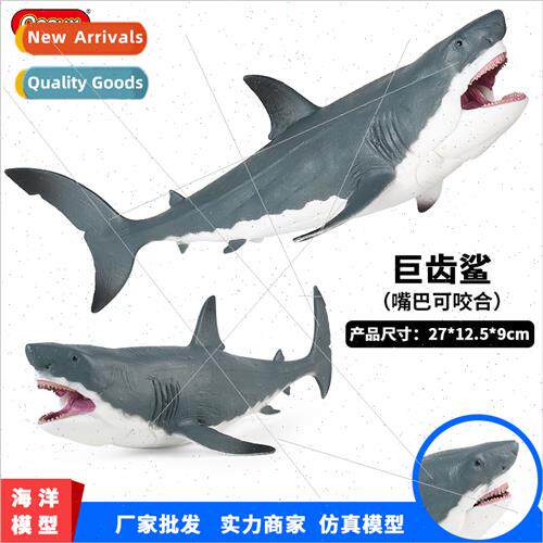 Sea World solid large megalodon animal plastic model great w