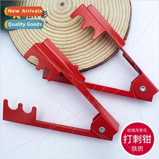 Rose pliers thorns pliers rose clip iron thorns asure floris