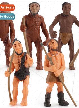 Primive model human evolution history mankind apes can human