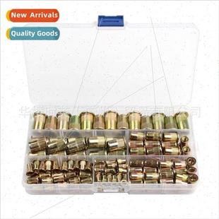 Vertical Rivet Plated Flat Zinc Color Head Boxed 175PCS Nuts