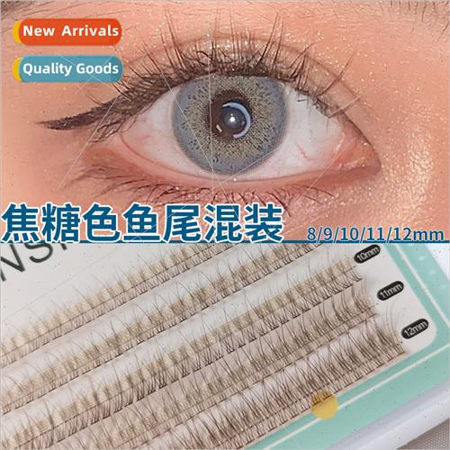 Caramel Fishtail False Eyelash Mixed Pack Natural ngle Clust