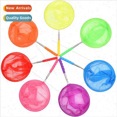 Children fish nets fishing nets to catch butterflies insect