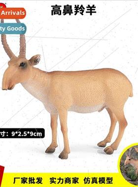 animal solid high nose antelope Saiga antelope cattle cogniv