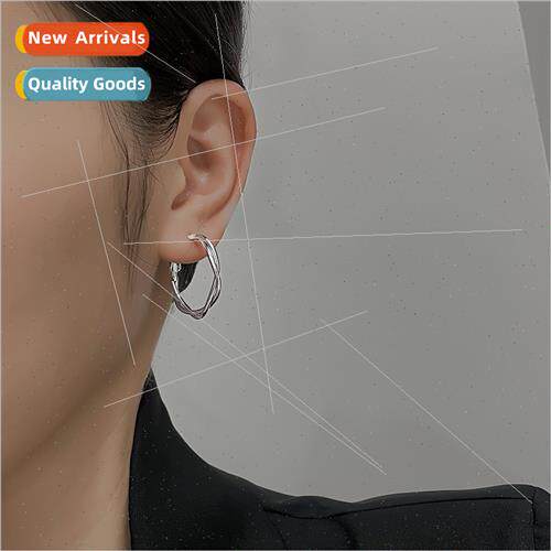 Metal braided twist earrings female Korea ins geometric circ
