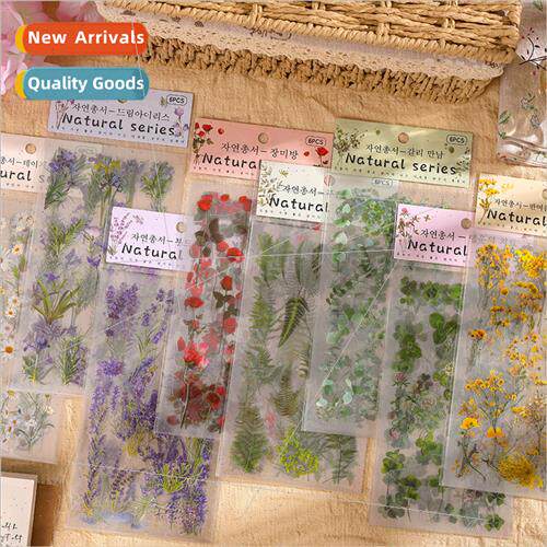 Nature series handbook waterproof transparent pvc stickers d