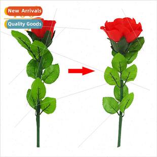 Slow Bloom Auto Blossom Roses Turn into Rings 适用Marriage P