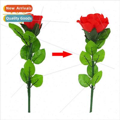 Slow Bloom Auto Blossom Roses Turn into Rings 适用Marriage P