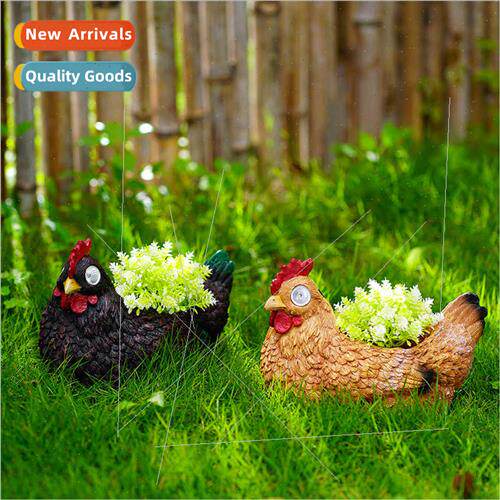 mulation hen succulent flower pots patio garden lawn landsca