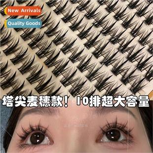 Eyelash Girl Tatsui Mixed Segment Europe False