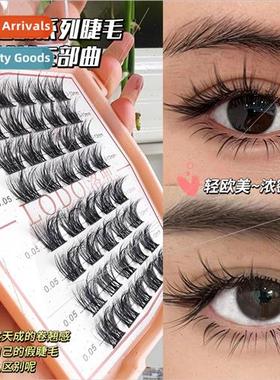 Mink Velvet False Eyelash Segmented ngle Cluster -Adhesive N