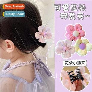 grab clip head flowers hair back small summer Korea children