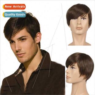 Men short wigs fluffy parted handsome dark color men short h