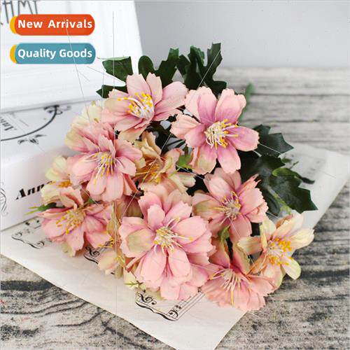 mulation flowers American 15 head angnan chrysanthemum oil p