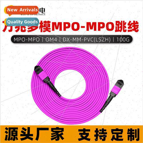 12-core 40G/100G cluster fiber optic patch cords room MPO-MP
