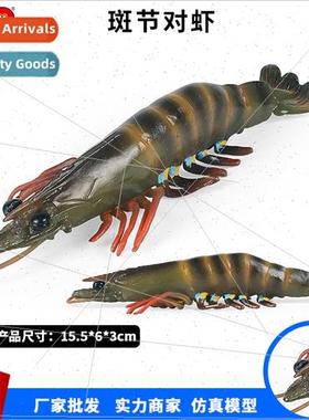 spot jointed shrimp simulation marine freshwater nine shrimp