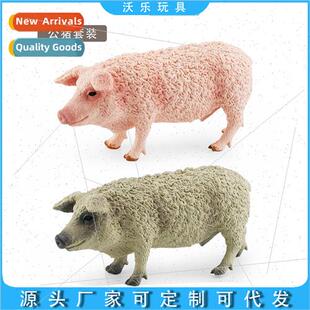 Farm poultry livestock boar model decorative ornament toys适