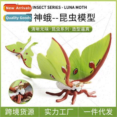 na Moth Green Tail Moon Shaped Large lkworm Moth Fairy Moth