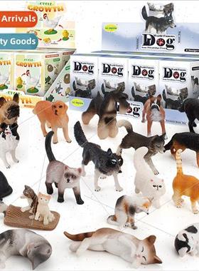 Toys Surprise Blind Box Microscopic Animals Evolutionary Gro