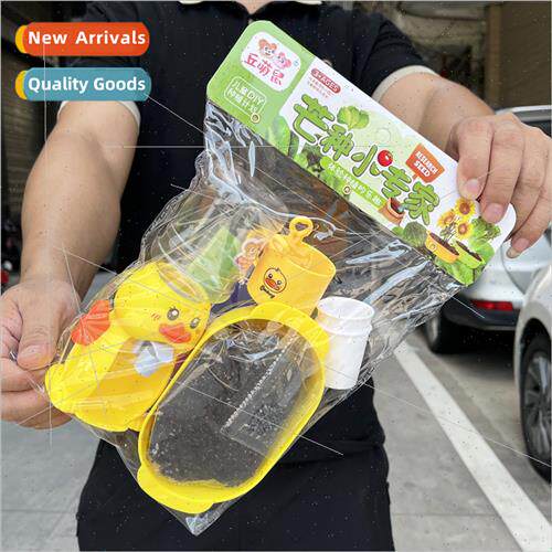 Children mini planting flowers planting vegetables toys set