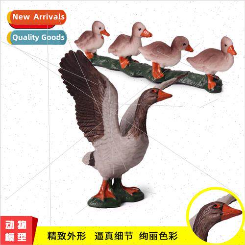 wildlife duck model toy set poultry winged gray duck ducklin