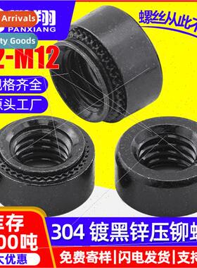 304 black rivet nut black zinc plated pressure plate nut scr