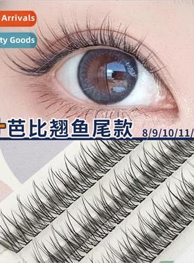 Imp False Eyelash ngle Cluster Natural Segmented Fishtail Ba