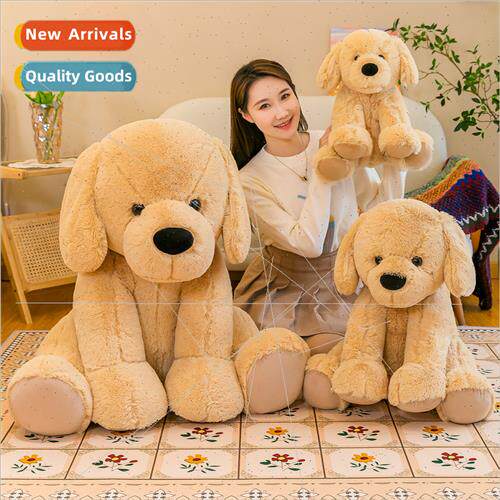 Oversized Sam dog doll golden dog dog plush toy doll doll bi