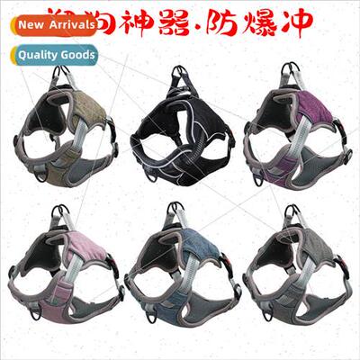 Outdoor Dog Walker Explosion Proof Flush Breakaway Small & M