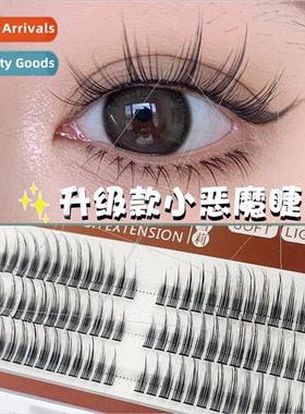 Imp False Eyelash Upgrade Plus Segmented ngle Cluster Barbie