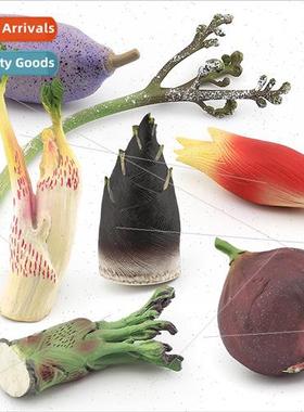 Vegetables frus model aralia aralia water bamboo shoots fern