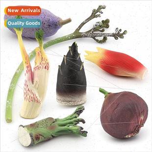 Vegetables frus model aralia aralia water bamboo shoots fern