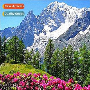 DIY Snowy mple Stch Han Full New Scenery Cross Mountain