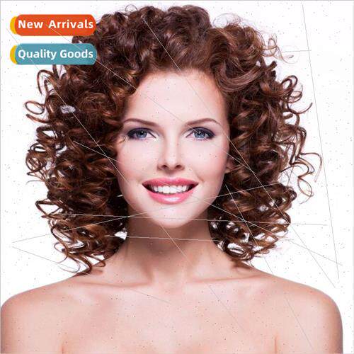 Europe Wig Women Curly High Temperature lk Small Curly Whe H