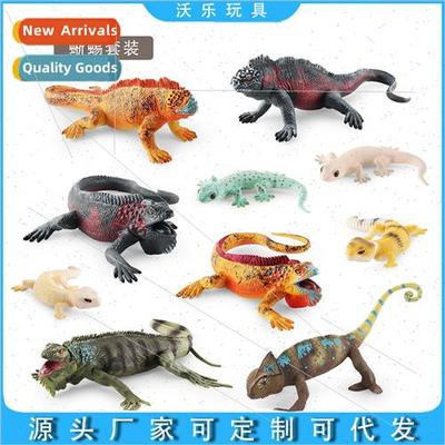 Decorative ornament lizard chameleon amphibious reptile mode