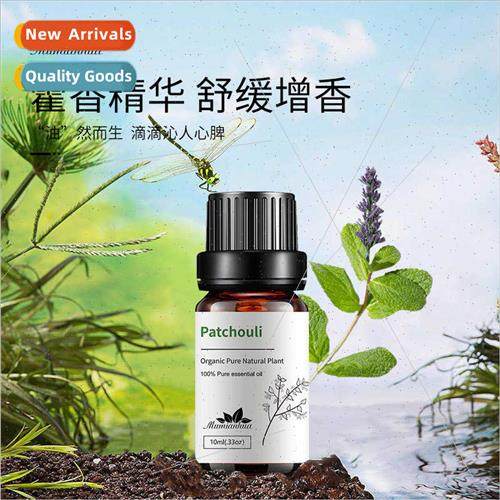 Patchouli Patchouli ngle Essential Oil Plant to remove summe