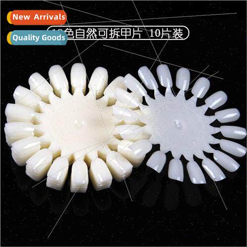 Round Nail Polish Color Plate Nail Plate Nail Plate Color Ca