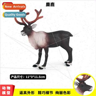 simulation animal model static solid elk buck reindeer wheta