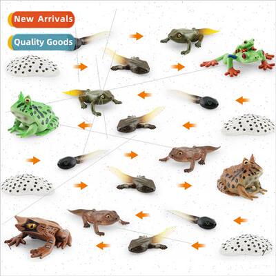 Red-eyed FrogHorned FrogTriangle Dead Leaf FrogGrowth Cycle